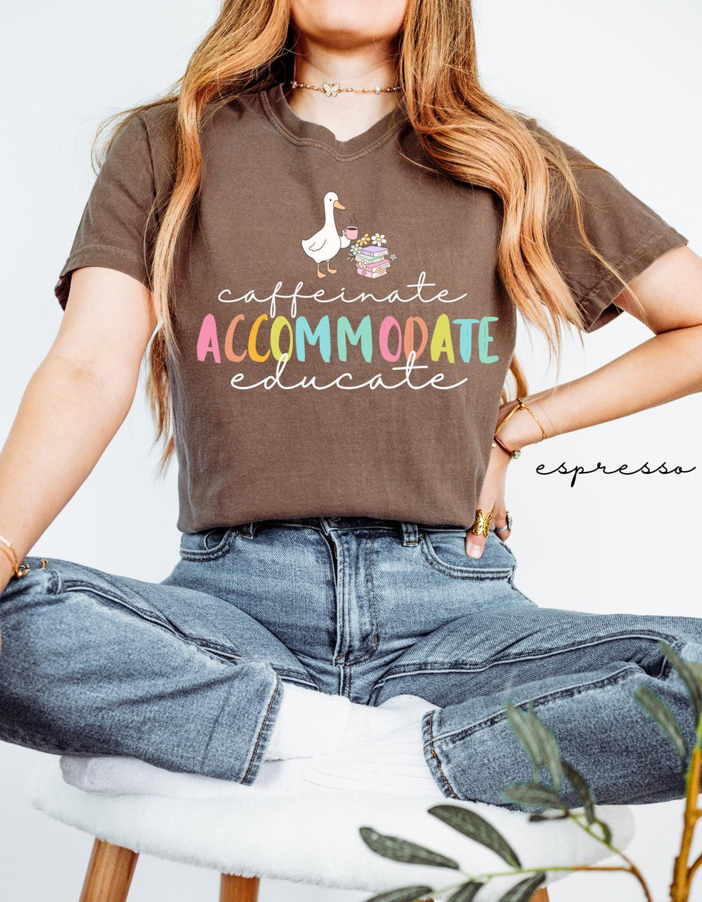 Comfort Colors Teacher Caffeinate Accommodate Educate Education Silly Goose Tee Back School Teacher