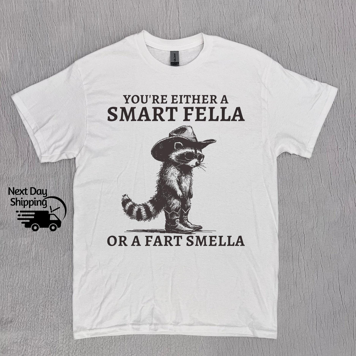 Retro Smart Fella Raccoon 90s Raccoon Vintage Vintage 90s Washed Vintage Distressed