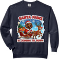 Santa Paws Is Coming Christmas American Water Spaniel Dog Comfort Colors Adult Sweatshirt