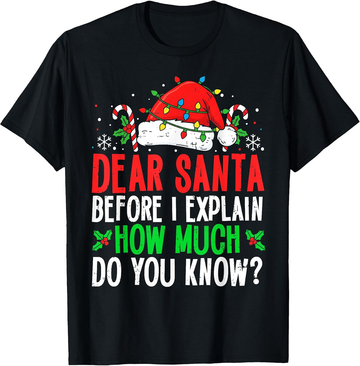 Funny Christmas Kids Adults Dear Santa I Can Explain T-Shirt