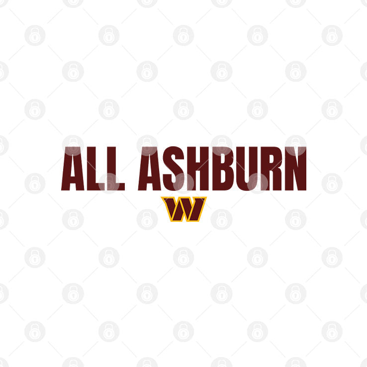 All Ashburn Washington Commanders T Shirt Unisex