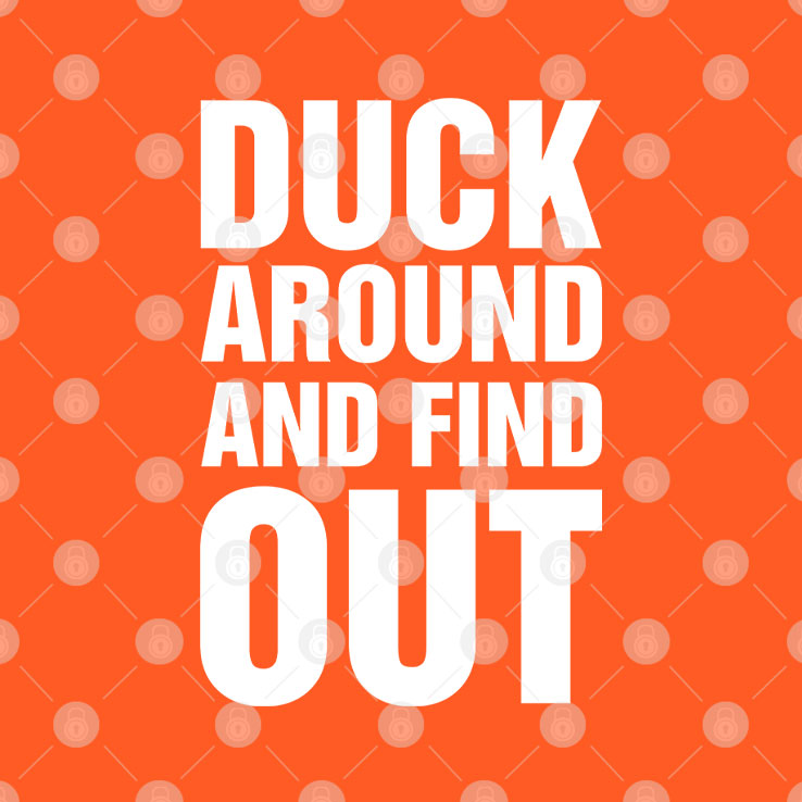 Anaheim Ducks Duck Around And Find Out T Shirt Unisex