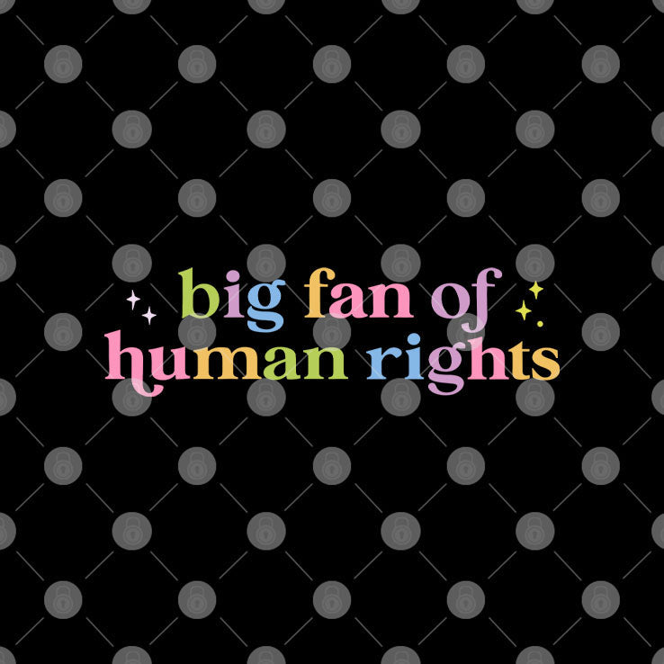 Big Fan Of Human Rights Equality T Shirt Unisex