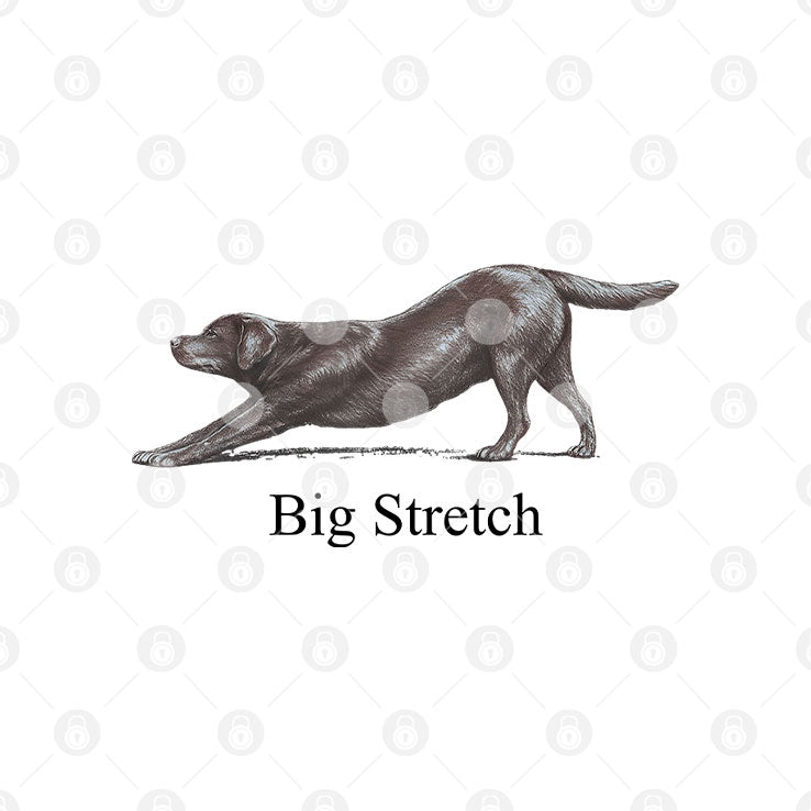 Big Stretch Labrador Retriever Stretching T Shirt Unisex