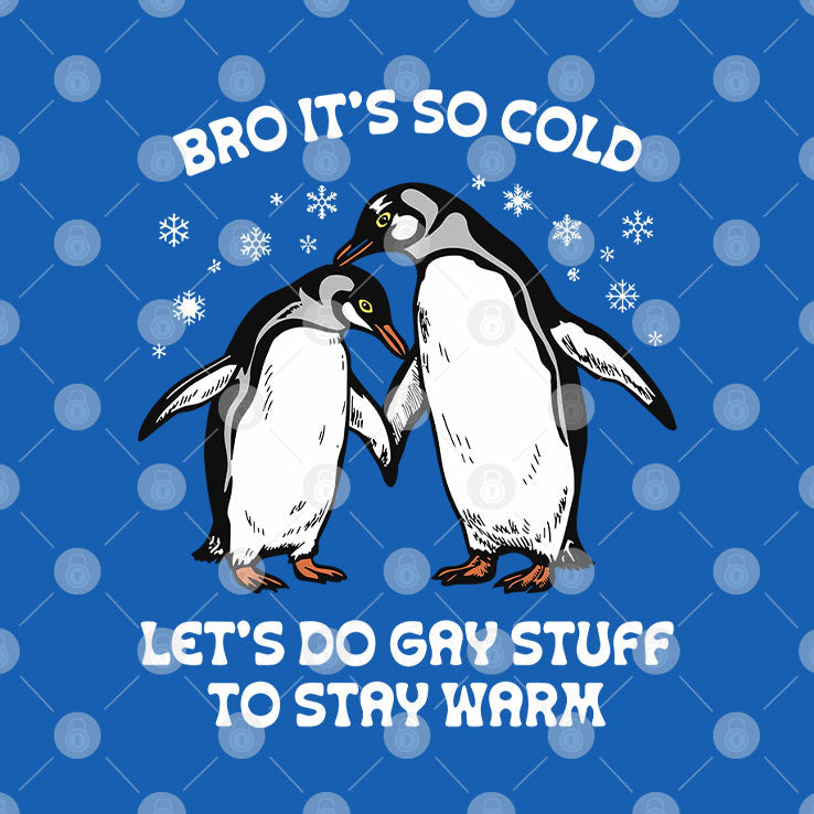 Bro It’s So Cold Let’s Do Gay Stuff To Stay Warm T Shirt Unisex