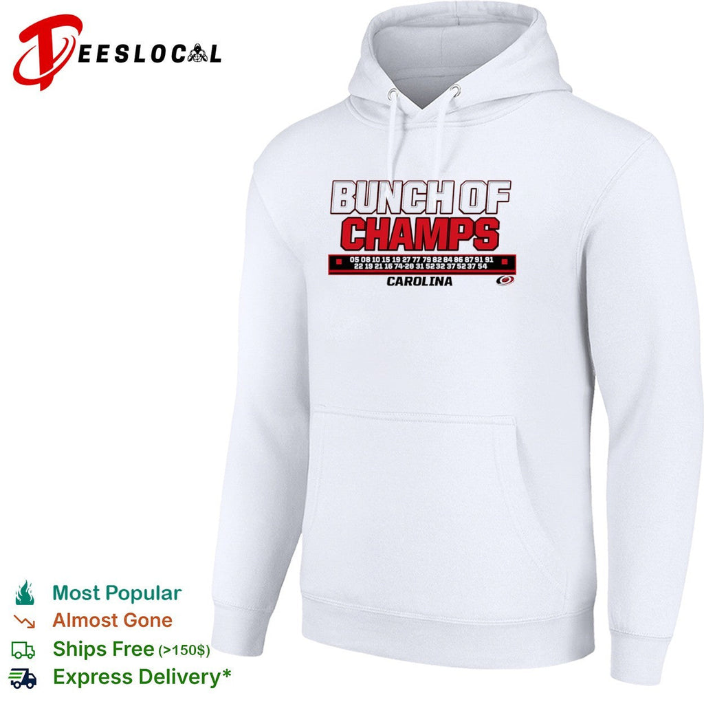 Carolina Hurricanes ice hockey bunch of champs shirt Unisex