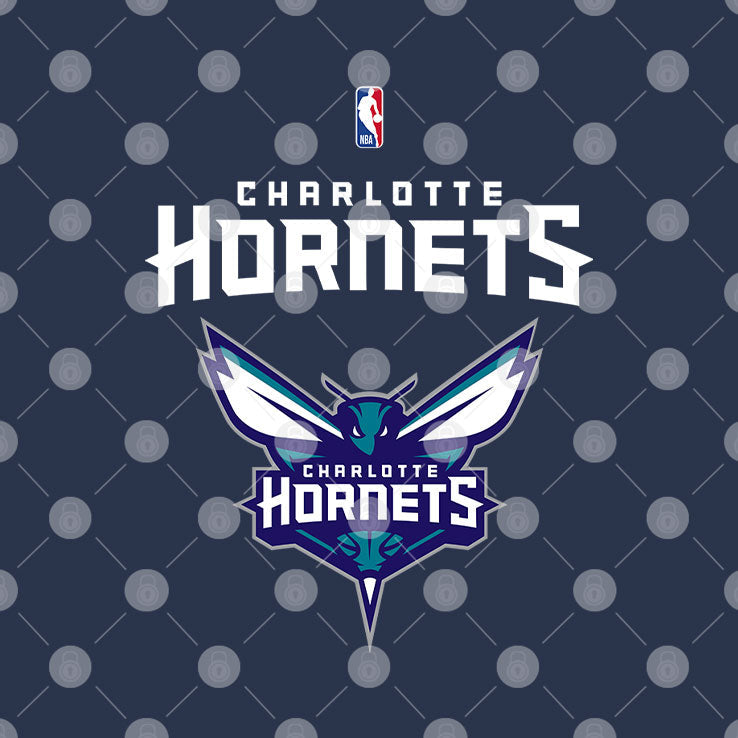 Charlotte Hornets 2025 Summer League Champions Victory In Vegas Shirt Unisex
