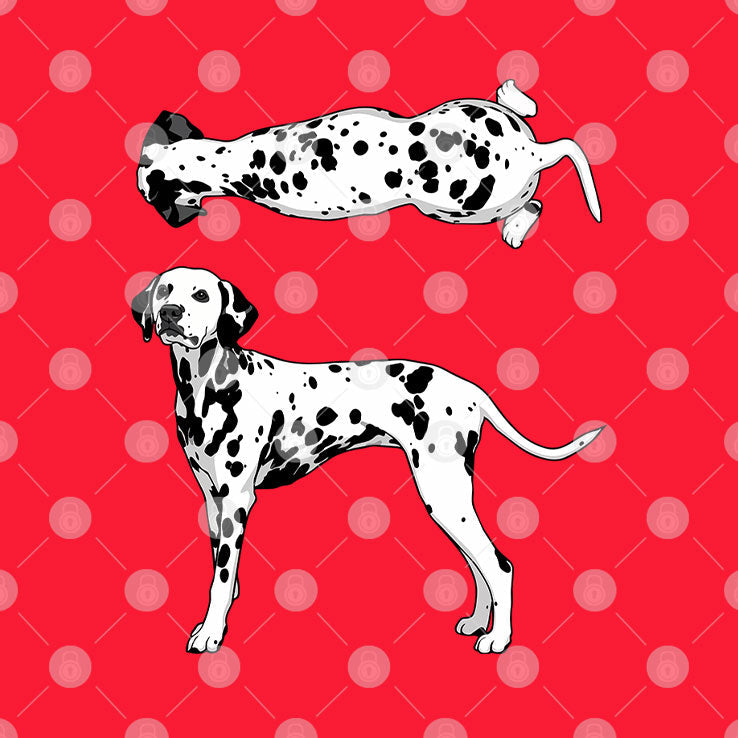 Dalmatian Dog Graphic T Shirt Unisex