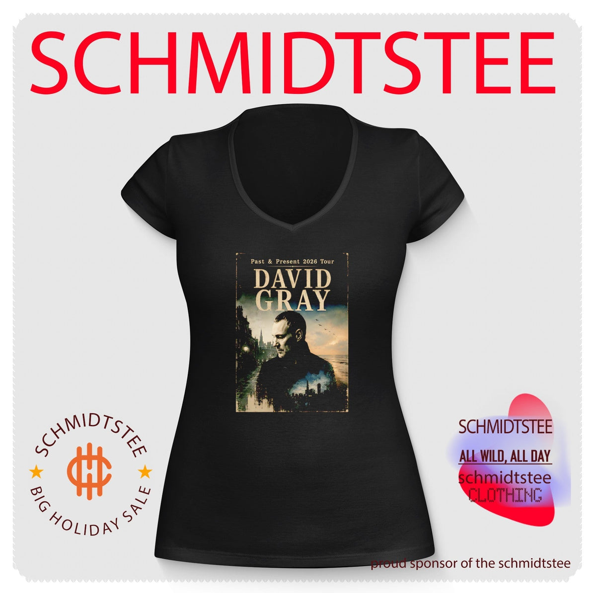 David Gray Past & Present 2026 Tour Singer Songwriter shirt Unisex