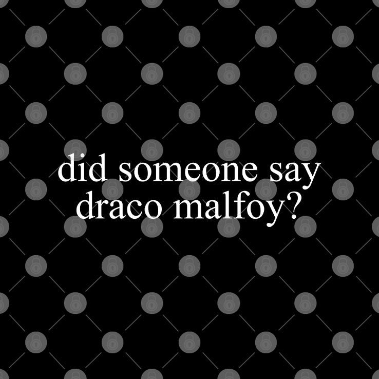 Did Someone Say Draco Malfoy T Shirt Unisex