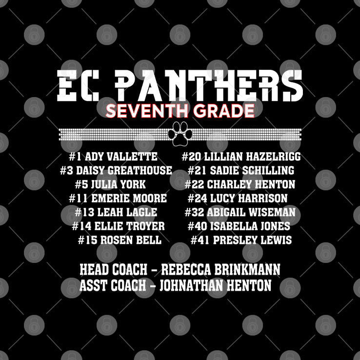 EC Panthers Seven Grade Regional Champions T Shirt Unisex