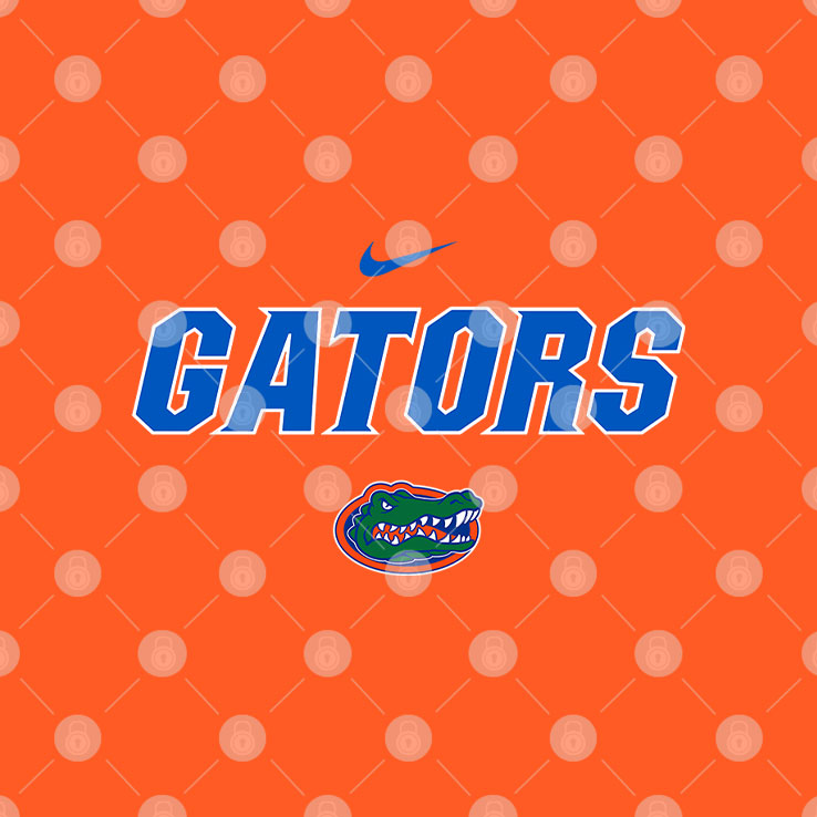 Florida Gators Baseball T Shirt Unisex