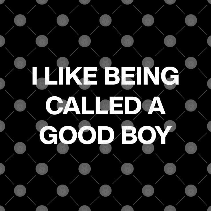 I Like Being Called A Good Boy T Shirt Unisex