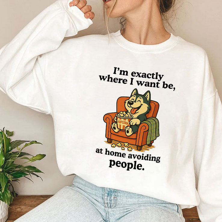 I’m Exactly Where I Want Be At Home Avoiding People T Shirt Unisex