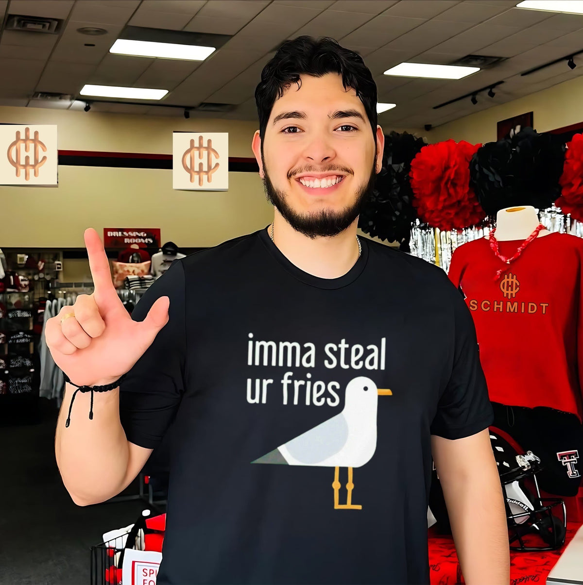Imma Steal Ur Fries Seagull funny bird beach humor shirt Unisex