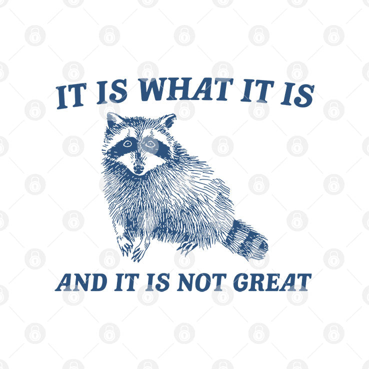 It Is What It Is And It Is Not Great Raccoon T Shirt Unisex