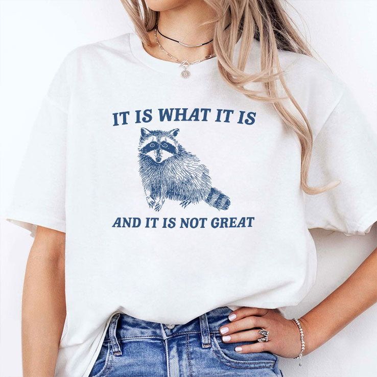 It Is What It Is And It Is Not Great Raccoon T Shirt Unisex