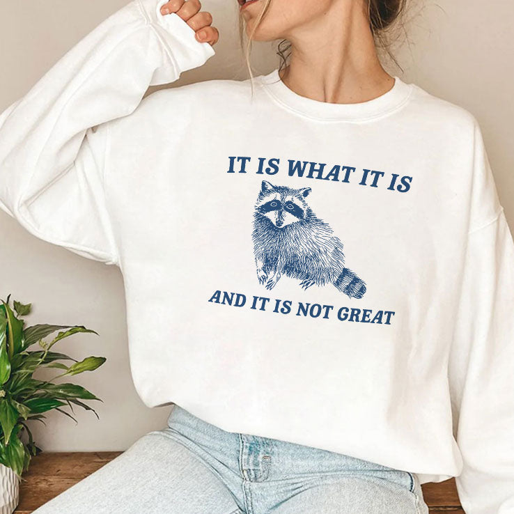 It Is What It Is And It Is Not Great Raccoon T Shirt Unisex