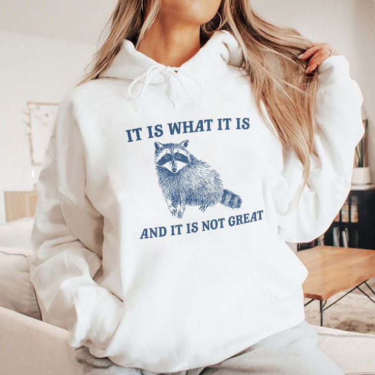 It Is What It Is And It Is Not Great Raccoon T Shirt Unisex