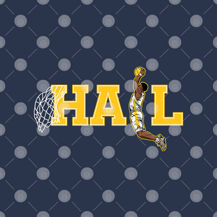 Michigan Wolverines Hail Dunk Unisex