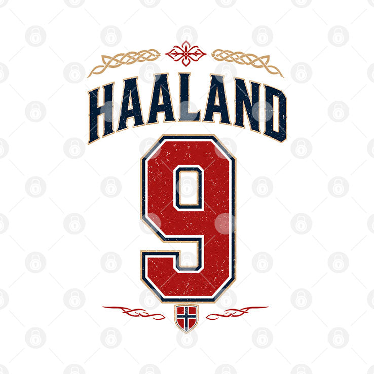 Norway Erling Haaland T Shirt Unisex