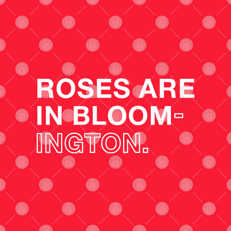 Roses Are In Bloom-ington T Shirt Unisex