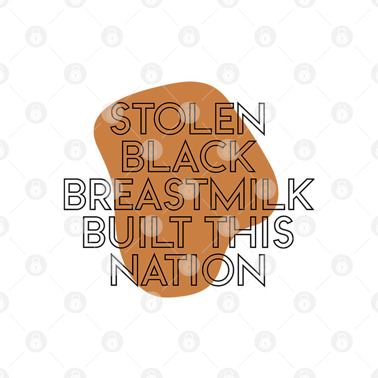 Stolen Black Breastmilk Built This Nation T Shirt Unisex