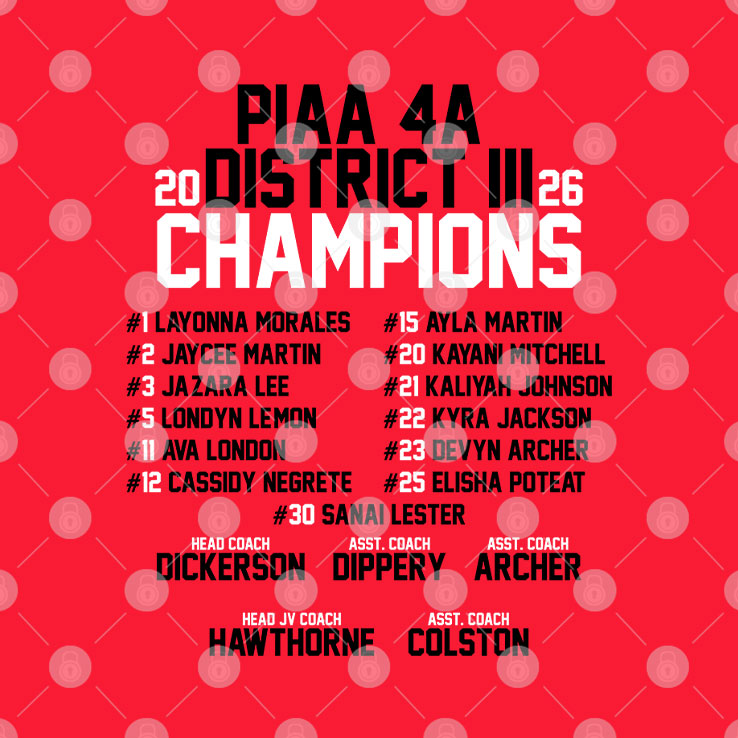 Susquehanna Township Girls Basketball PIAA 4a District 3 Championship Shirt Unisex
