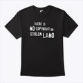 There Is No Copyright On Stolen Land T Shirt Unisex