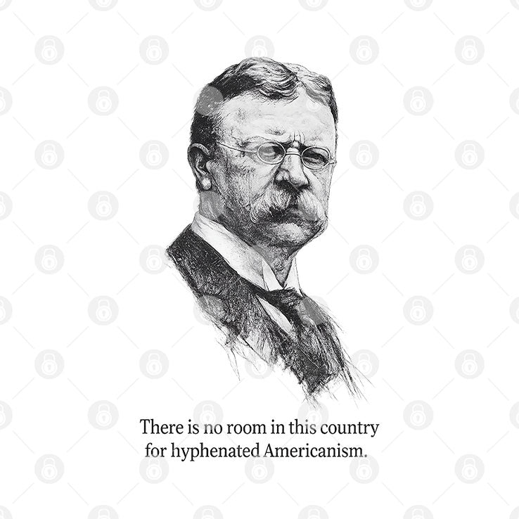 There Is No Room In This Country For Hyphenated Americanism Theodore Roosevelt Shirt Unisex