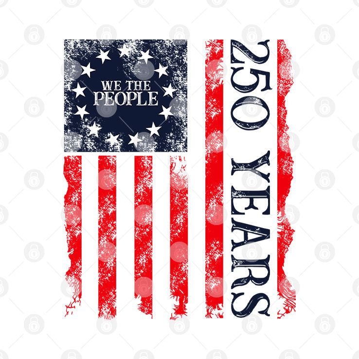 We The People 250 Years America 250 T Shirt Unisex