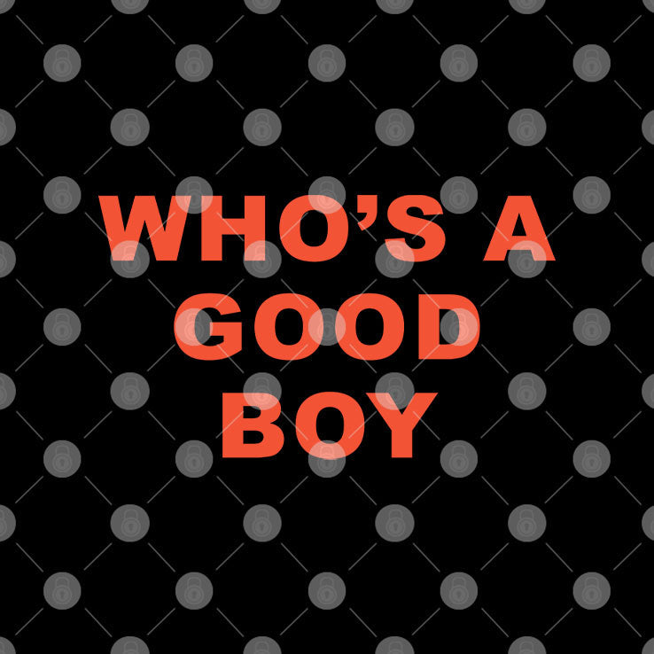 Who’s A Good Boy T Shirt Unisex