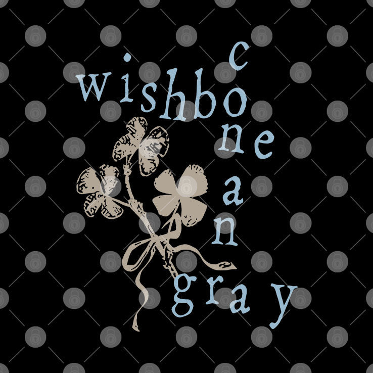 Wishbone Conan Gray T Shirt Unisex