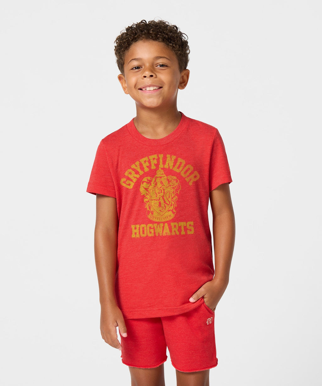 Youth Gryffindor Crest Unisex