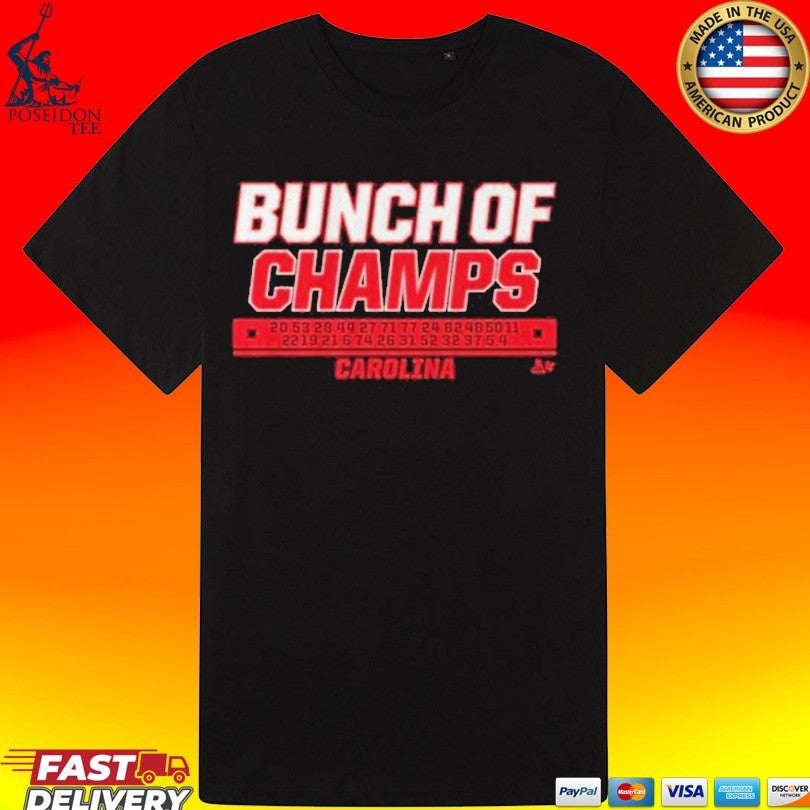 Bunch Of Champs Carolina Hockey Names 2026 Champs Unisex