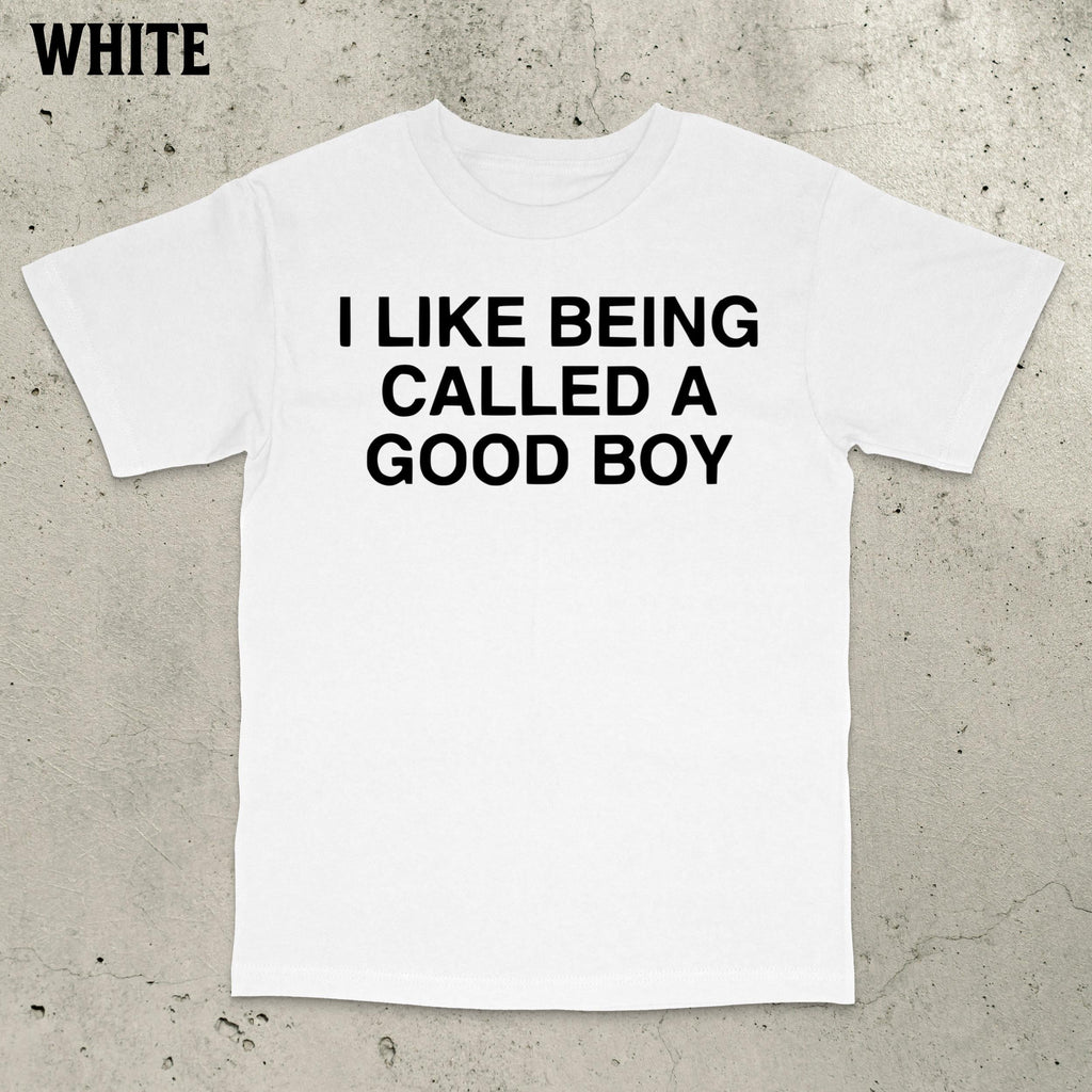 Good Boy Meme Stupid Dumb Brain Ro Embarrassing Saying Statemen