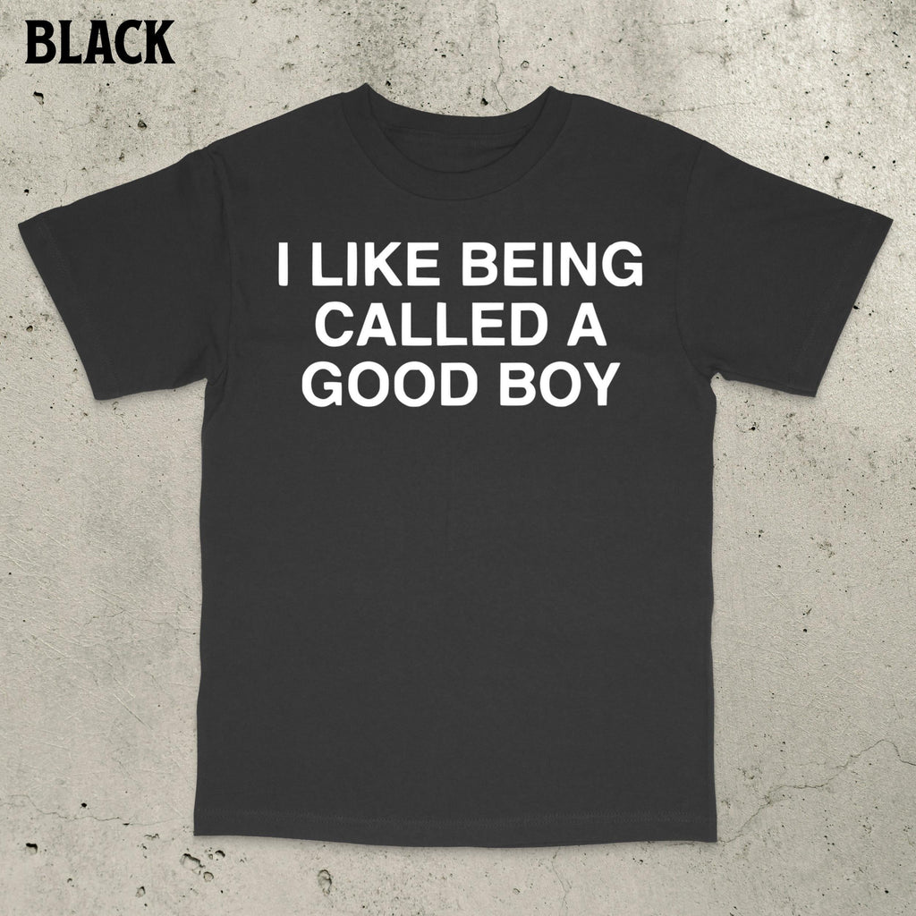 Good Boy Meme Stupid Dumb Brain Ro Embarrassing Saying Statemen