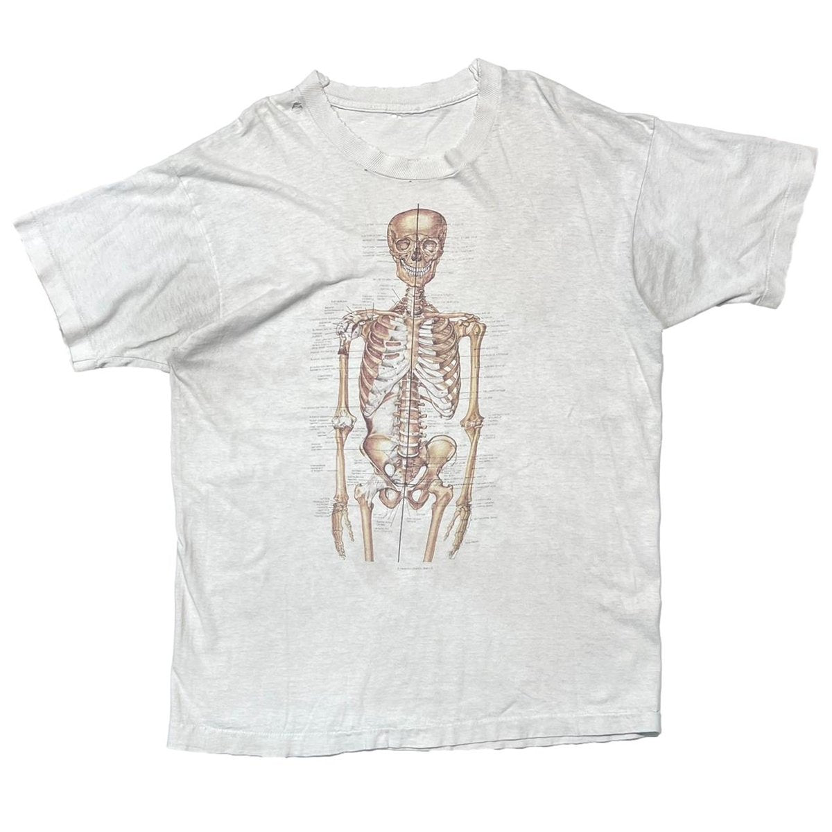 OLD & VINTAGE Skeletal System Anatomical Chart WHITE FITS XL 8925