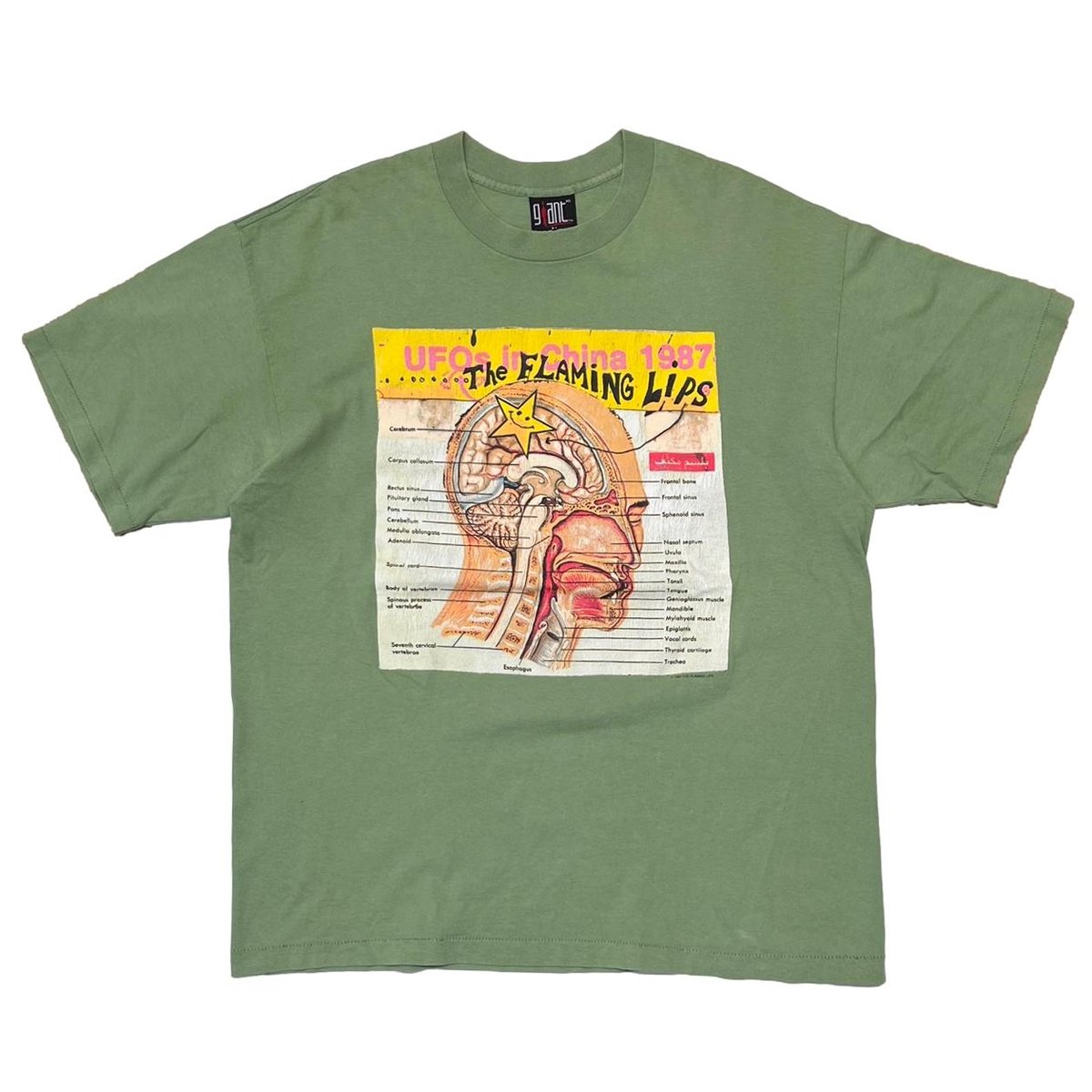 FLAMING LIPS UFOs in China 1987 SAGE GREEN GIANT BY TEE JAYS XL 6498
