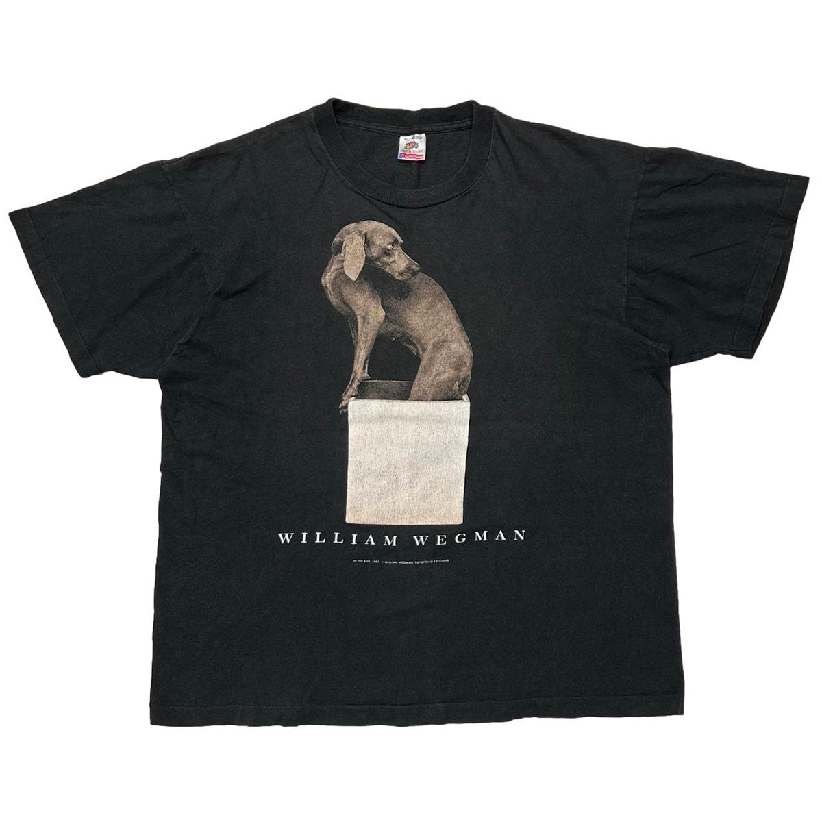 WILLIAM WEGMAN ART DOG IN THE BOX FRUIT OF THE LOOM XL 3748