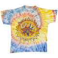 GRATEFUL DEAD 1993 SUMMER TOUR TIE DYE SHORT HILLS XL 2237