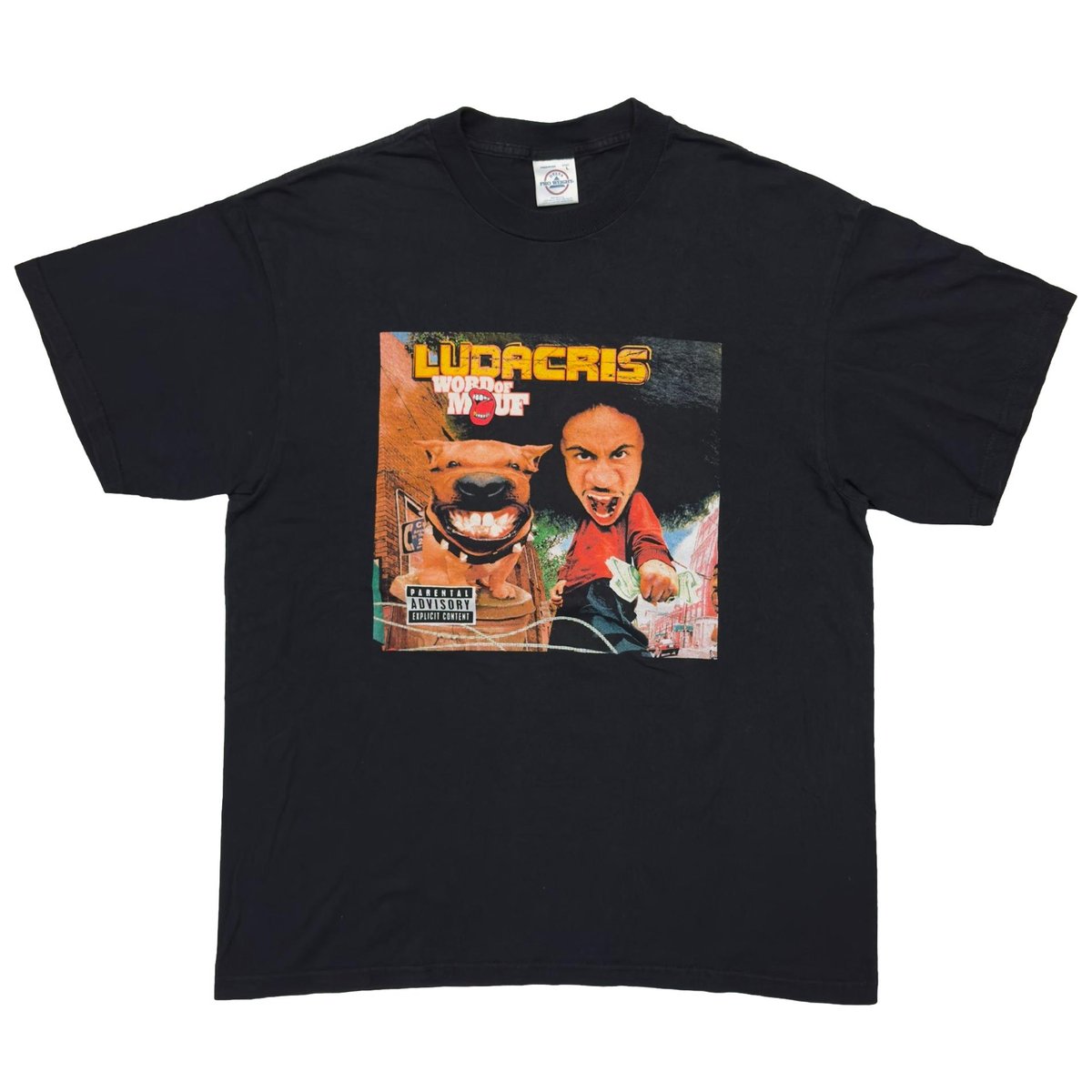 LUDACRIS WORD OF MOUF DELTA LARGE 4039