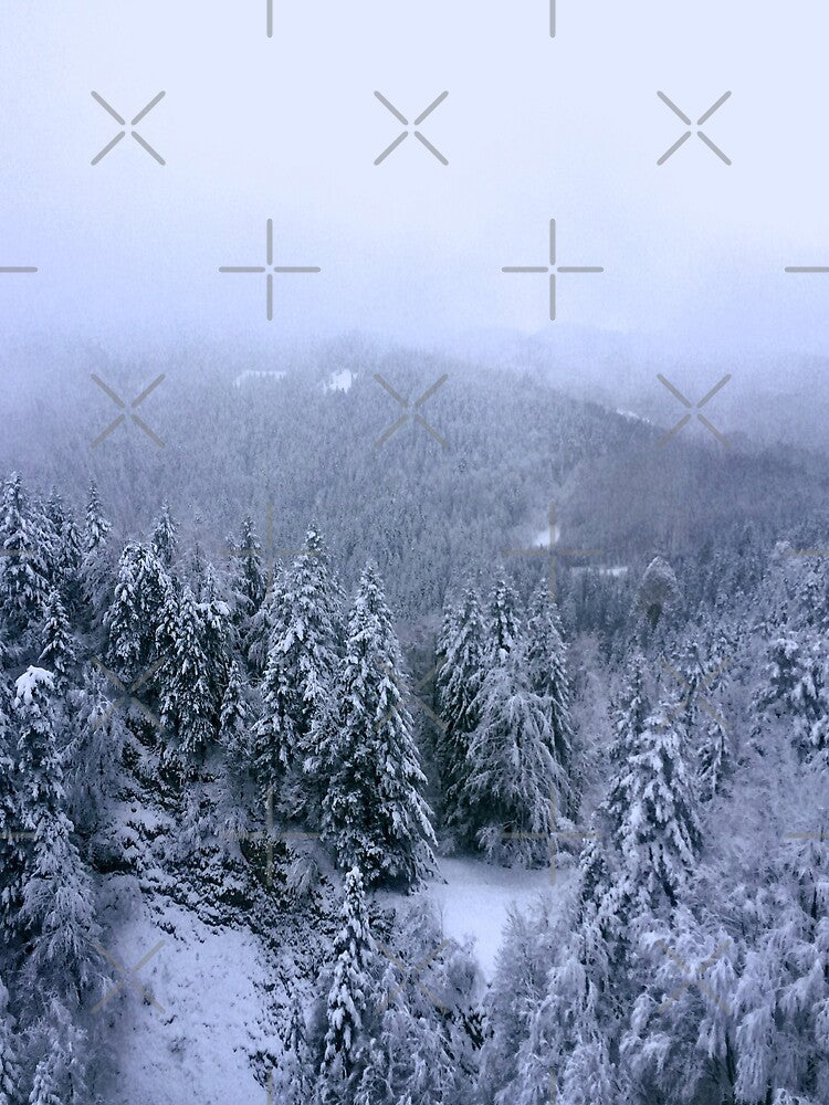 Winter Wonderland by readytotravel