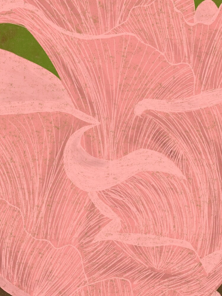 Oyster Mushroom by Tortibee