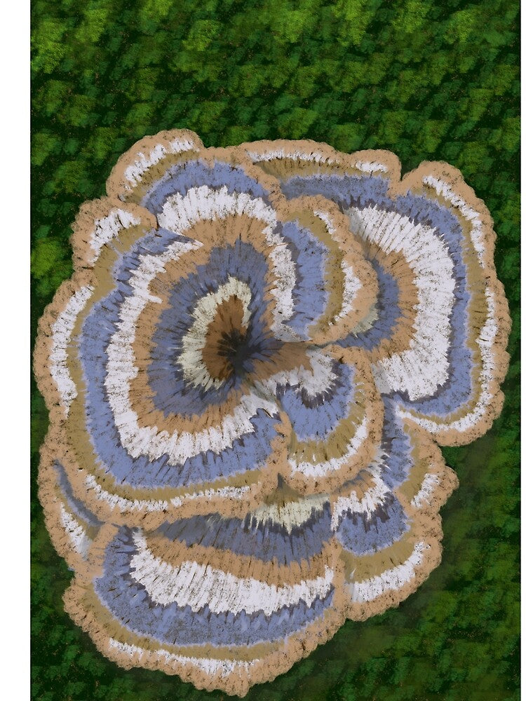 Turkey Tail by Tortibee