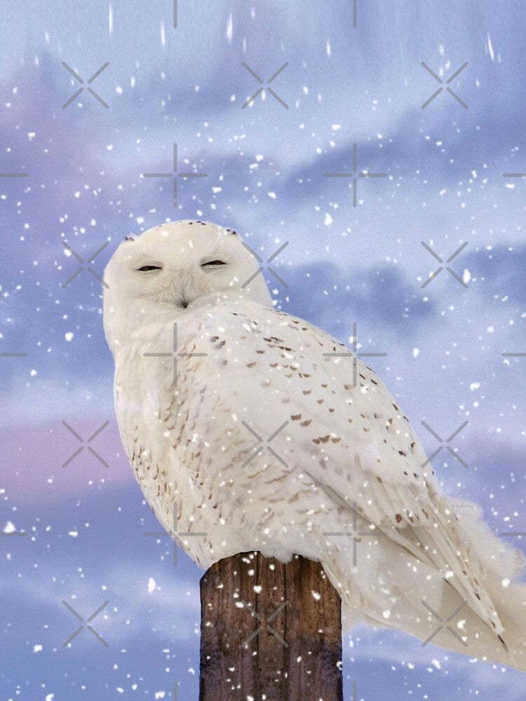 Winter solstice by locustgirl