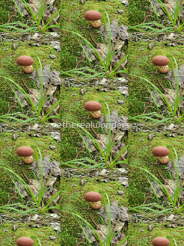 Baby Porcini by etherealwonders