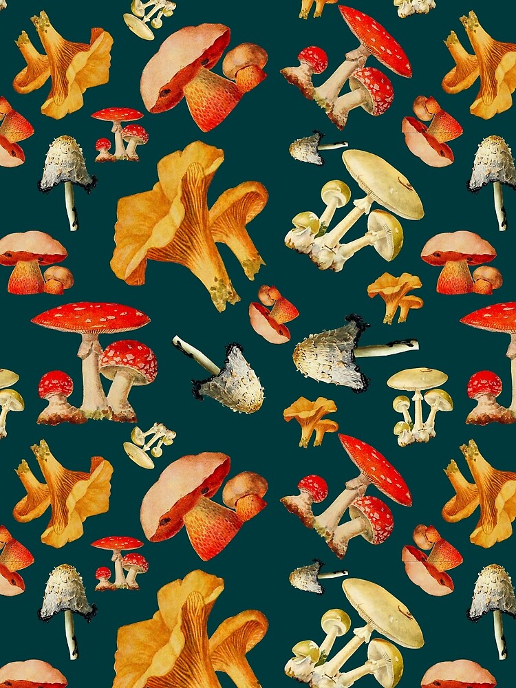 Mushroom medley by Bunny  Belafonte