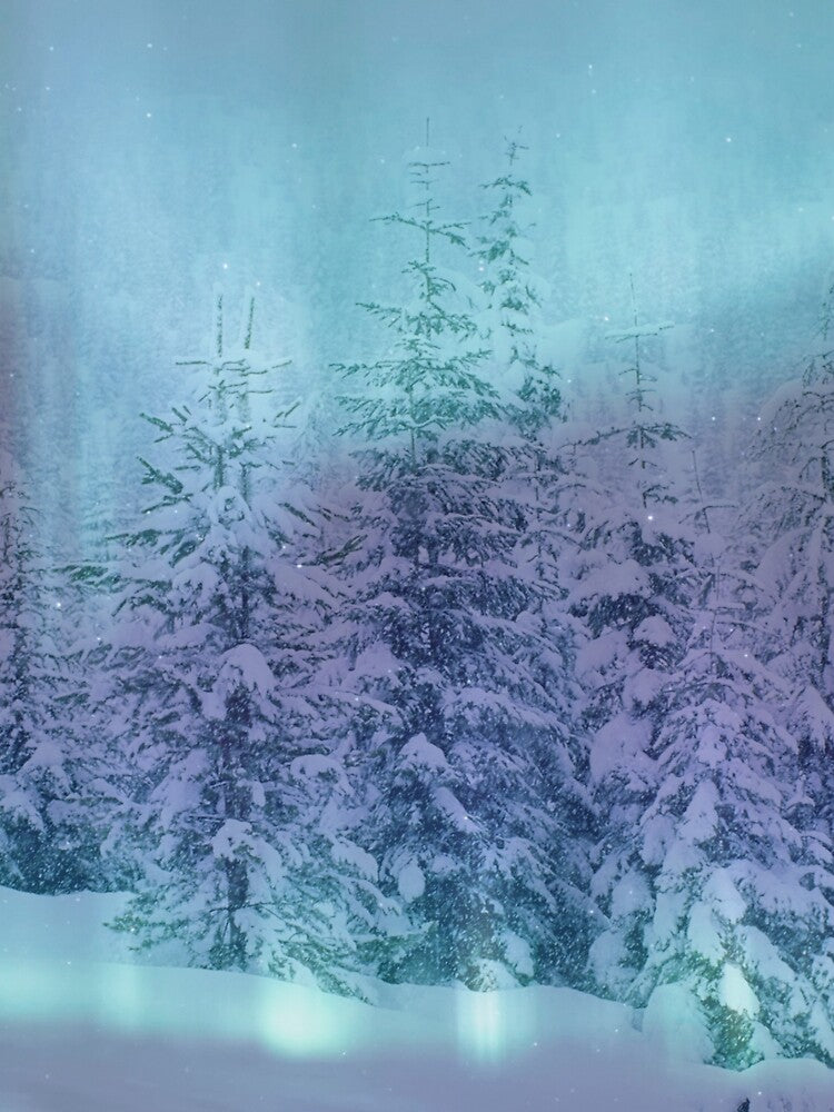Winter wonderland by Beeroclock
