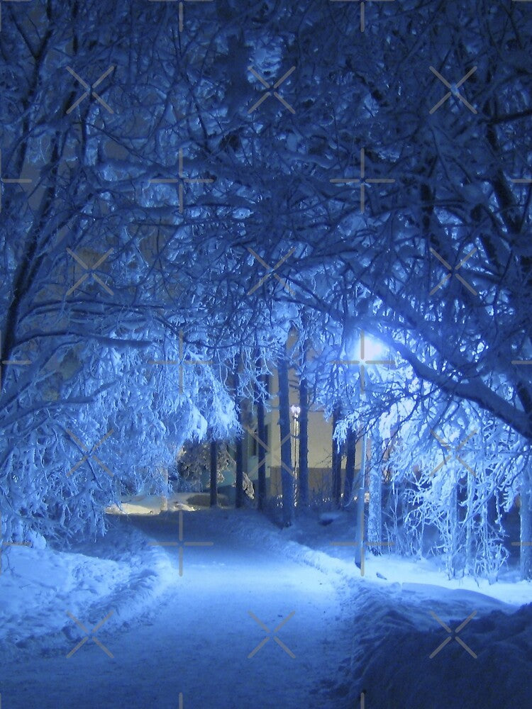 Winter Wonderland by Kashear